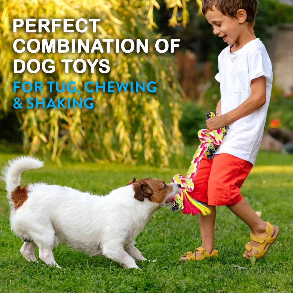 Ultimate 11-Piece Dog Rope Toy Set for Small & Medium Dogs - Perfect for Puppy Teething and Playtime!