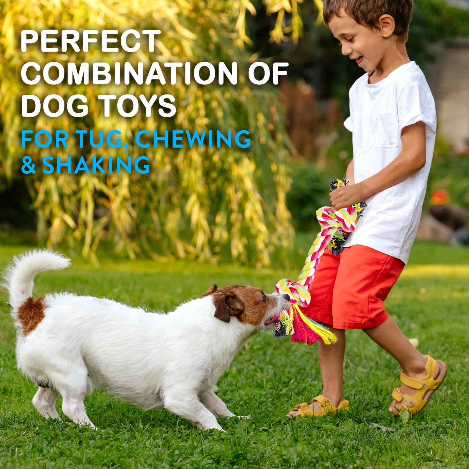 Ultimate 11-Piece Dog Rope Toy Set for Small & Medium Dogs - Perfect for Puppy Teething and Playtime!