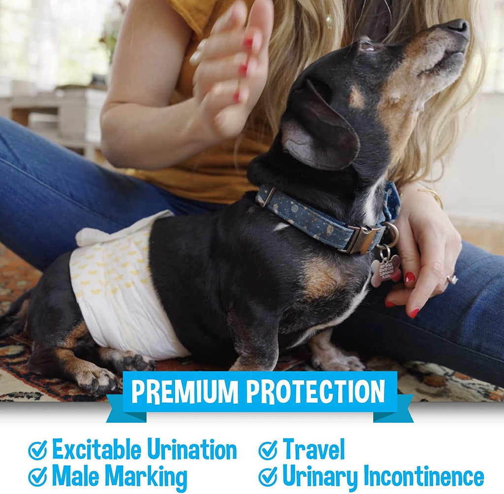 Super Absorbent Leak-Proof Male Dog Diapers - 20 Count Small with Adjustable Fit, Moisture Control & Wetness Indicator