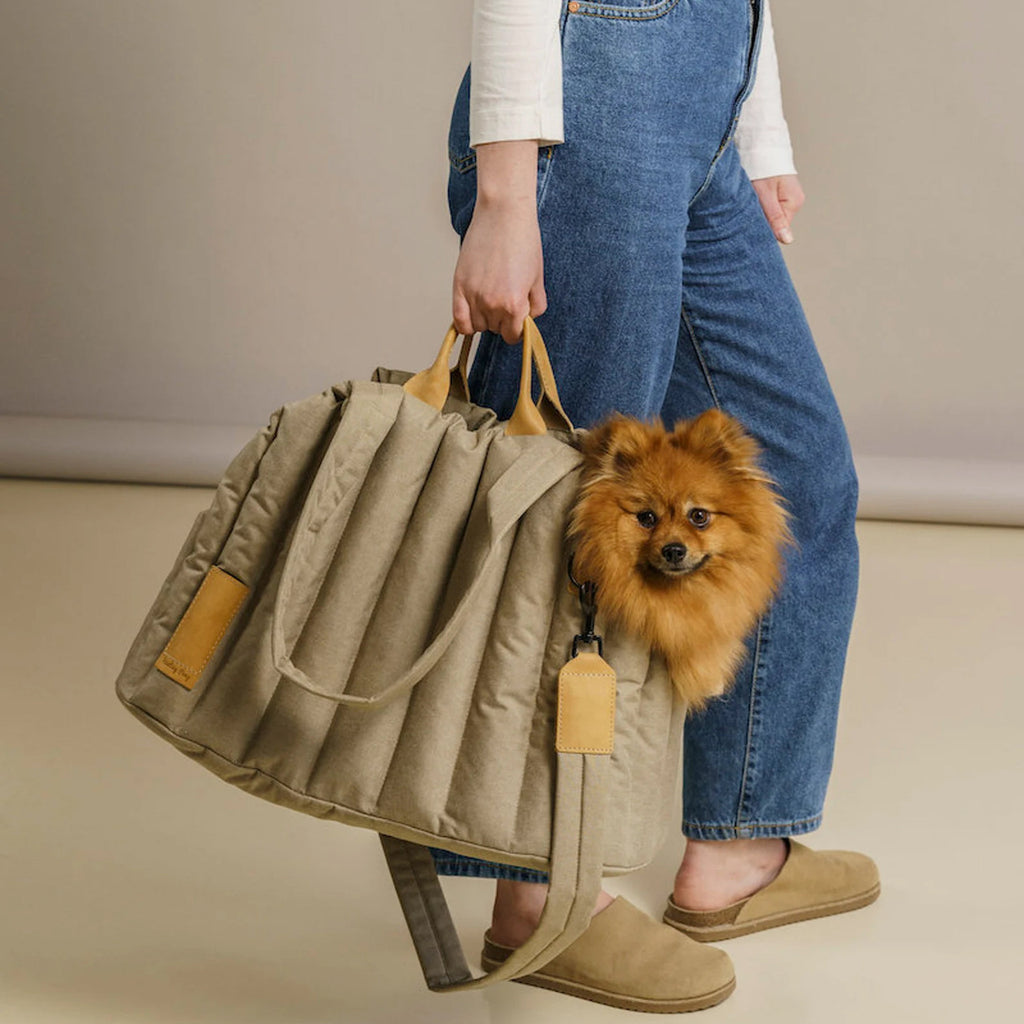 Lightweight Waterproof Pet Carrier Bag - Stylish and Portable Handbag for Dogs and Cats