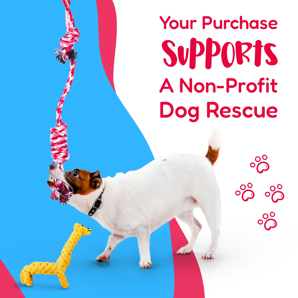 Ultimate 11-Piece Dog Rope Toy Set for Small & Medium Dogs - Perfect for Puppy Teething and Playtime!