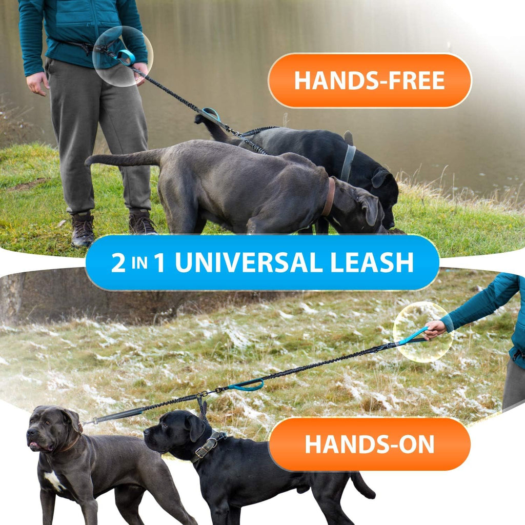 Ultimate Hands-Free Double Dog Leash - Tangle-Free Dual Leash for Medium & Large Breeds with Padded Handles & Reflective Stitches
