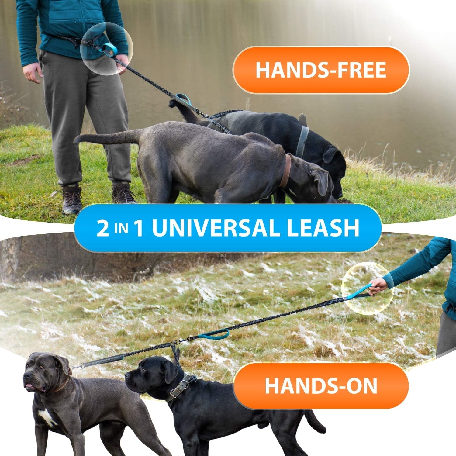 Ultimate Hands-Free Double Dog Leash - Tangle-Free Dual Leash for Medium & Large Breeds with Padded Handles & Reflective Stitches