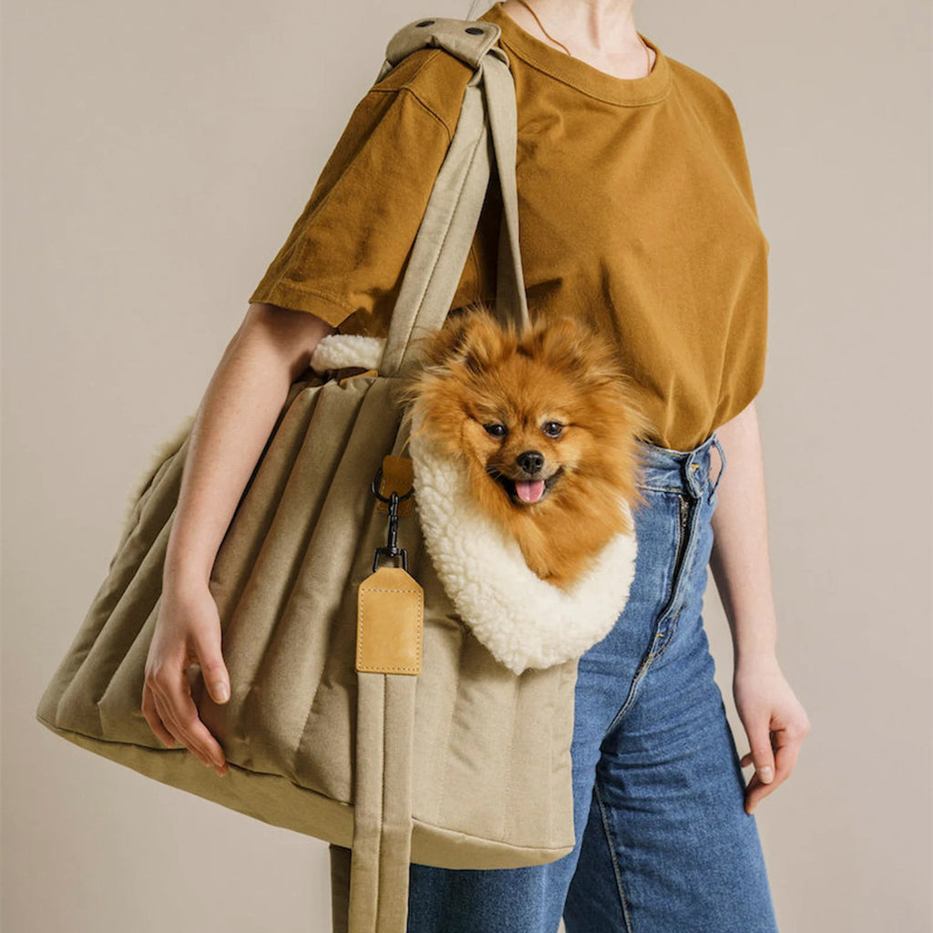 Lightweight Waterproof Pet Carrier Bag - Stylish and Portable Handbag for Dogs and Cats