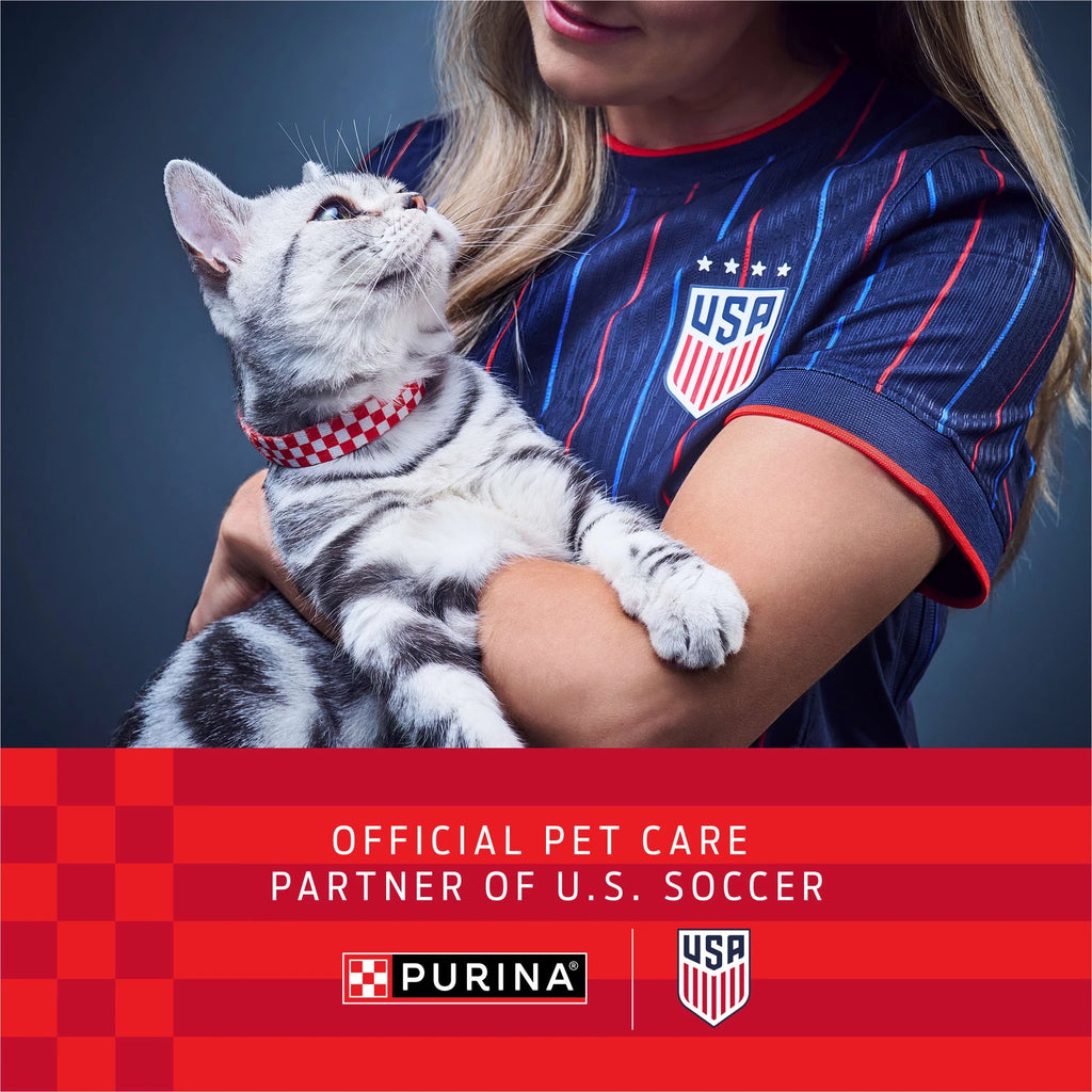 Purina 4-In-1 Strength Floral Scented Clumping Cat Litter - 35 Lb Pail for Ultimate Odor Control and Freshness
