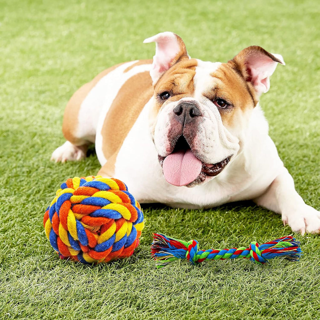 Ultimate 14-Pack Puppy Chew Toy Bundle - Fun Squeaky Toys, Tug-of-War Games, and Teething Relief for Small Dogs!