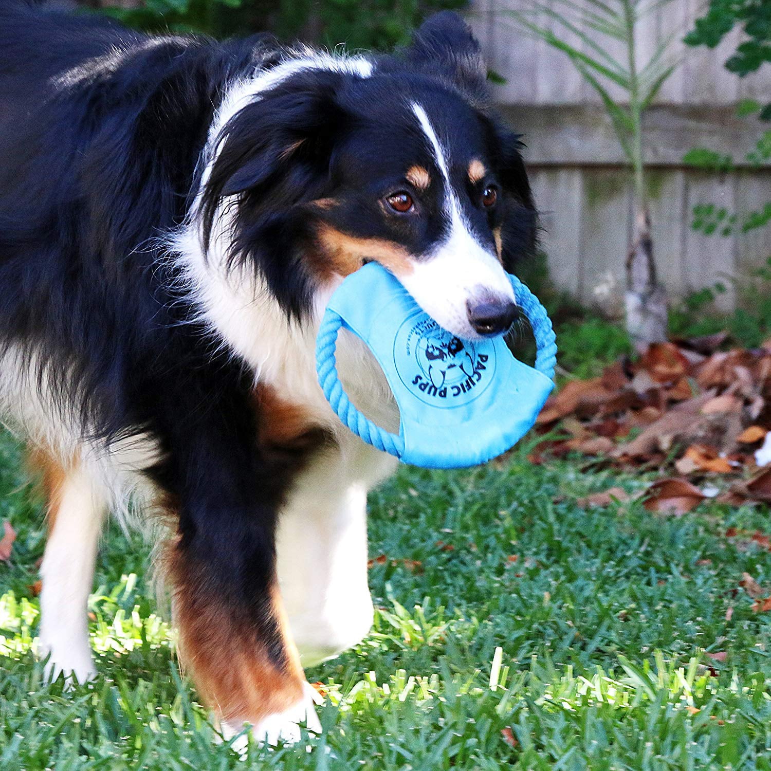 Ultimate 11-Piece Dog Rope Toy Set for Small & Medium Dogs - Perfect for Puppy Teething and Playtime!