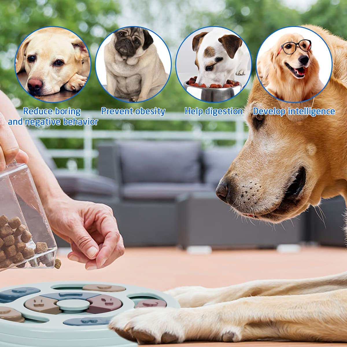 Interactive Dog Puzzle Toys - Stimulate Your Puppy’s Mind with Slow Feeder Fun!