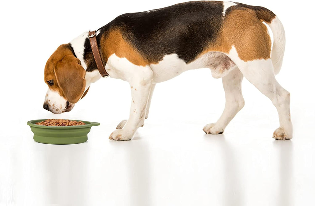 2-Pack Collapsible Silicone Dog Bowls - Perfect for Travel, Hiking & Outdoor Adventures - 600ml Capacity in Navy Blue & Dark Green