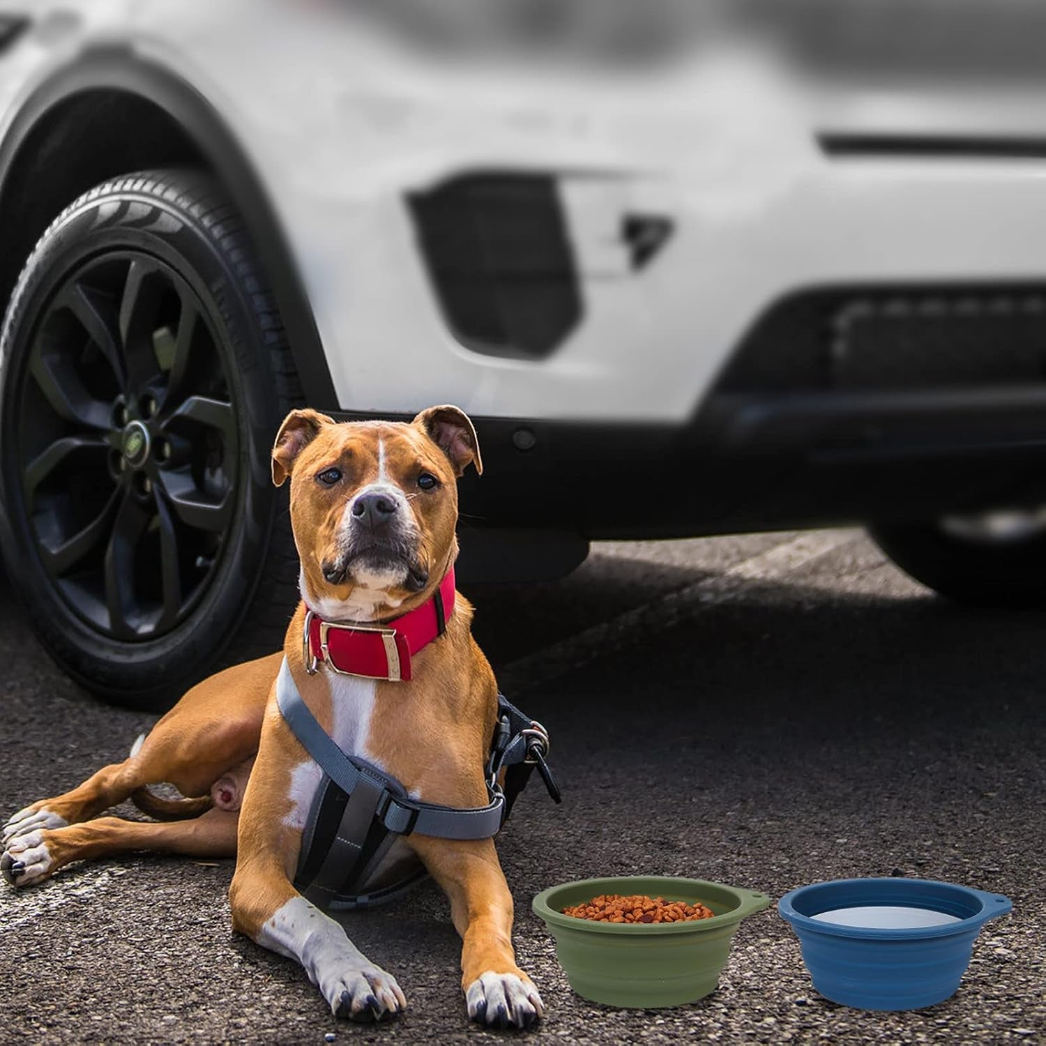 2-Pack Collapsible Silicone Dog Bowls - Perfect for Travel, Hiking & Outdoor Adventures - 600ml Capacity in Navy Blue & Dark Green