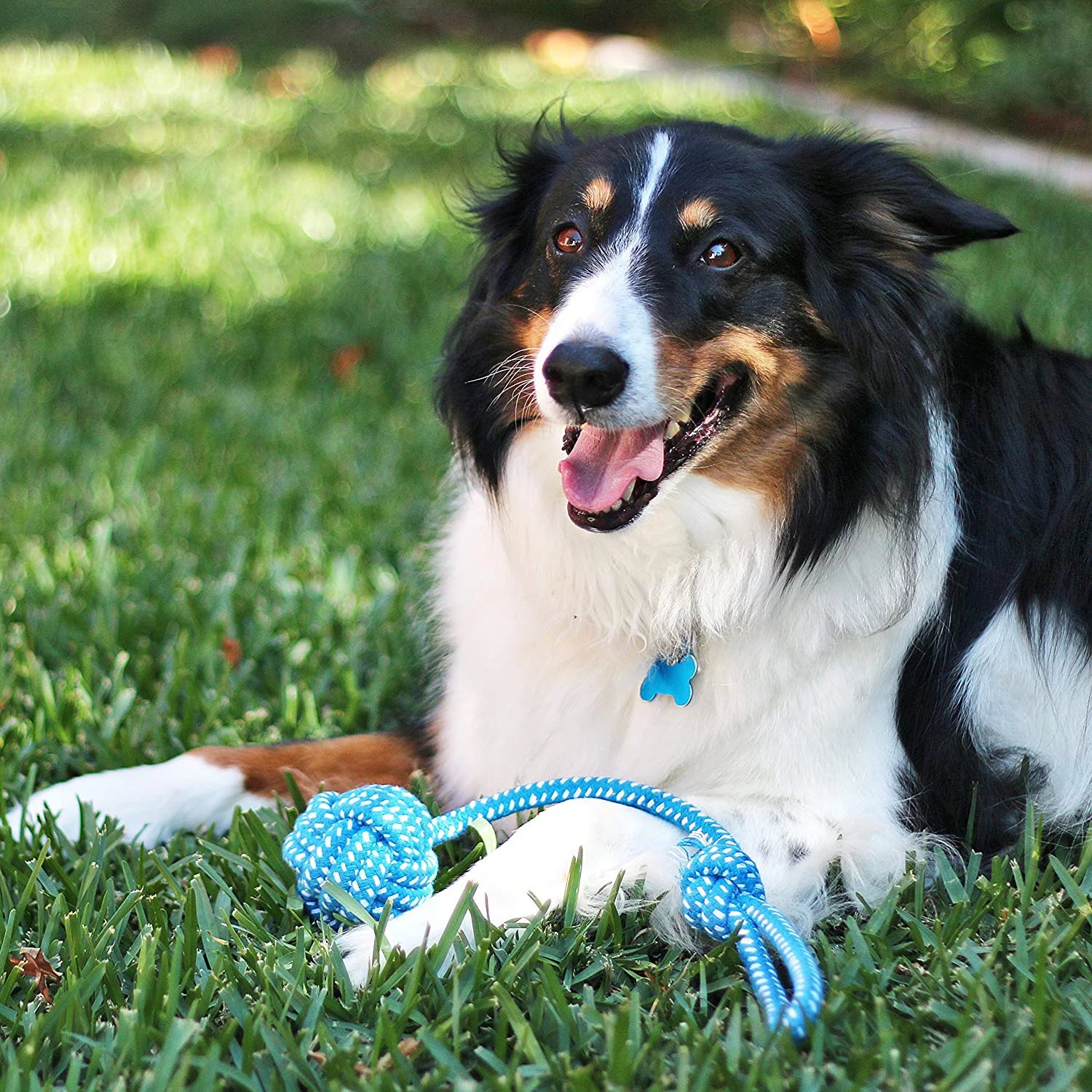 Ultimate 11-Piece Dog Rope Toy Set for Small & Medium Dogs - Perfect for Puppy Teething and Playtime!
