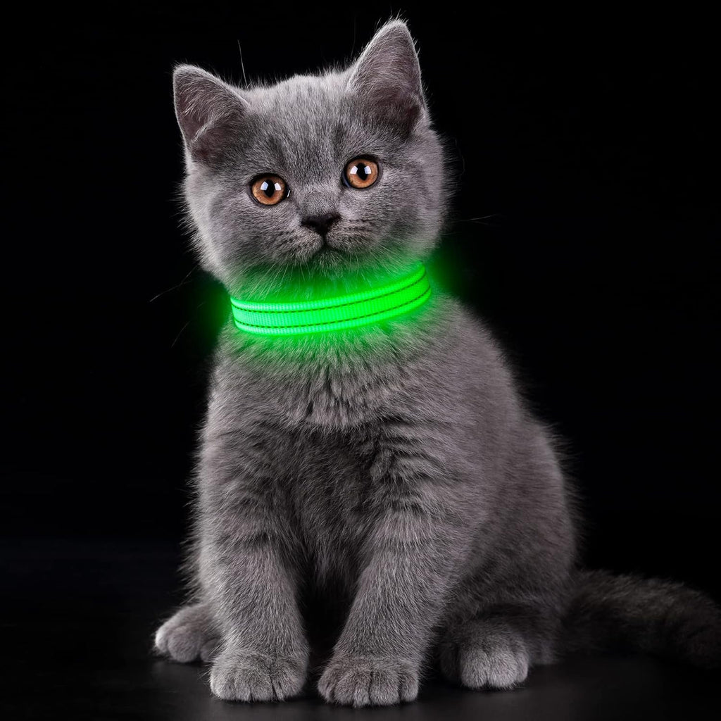 Rechargeable LED Dog Collar - Adjustable & Durable Light-Up Collar for Cats and Dogs (Green, XS)