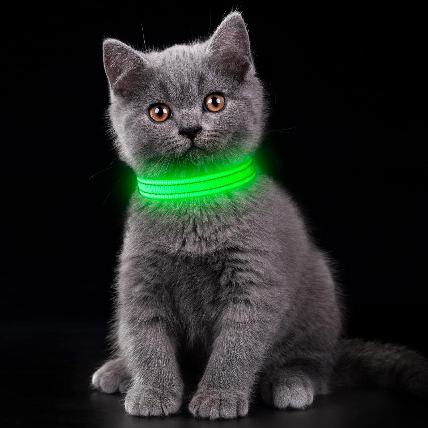 Rechargeable LED Dog Collar - Adjustable & Durable Light-Up Collar for Cats and Dogs (Green, XS)