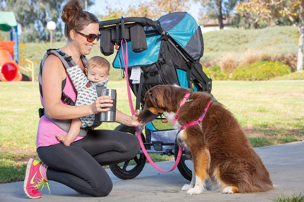 Large 22Oz Insulated Portable Dog Water Bottle & Dispenser - Keep Water Cool for Your Adventures!