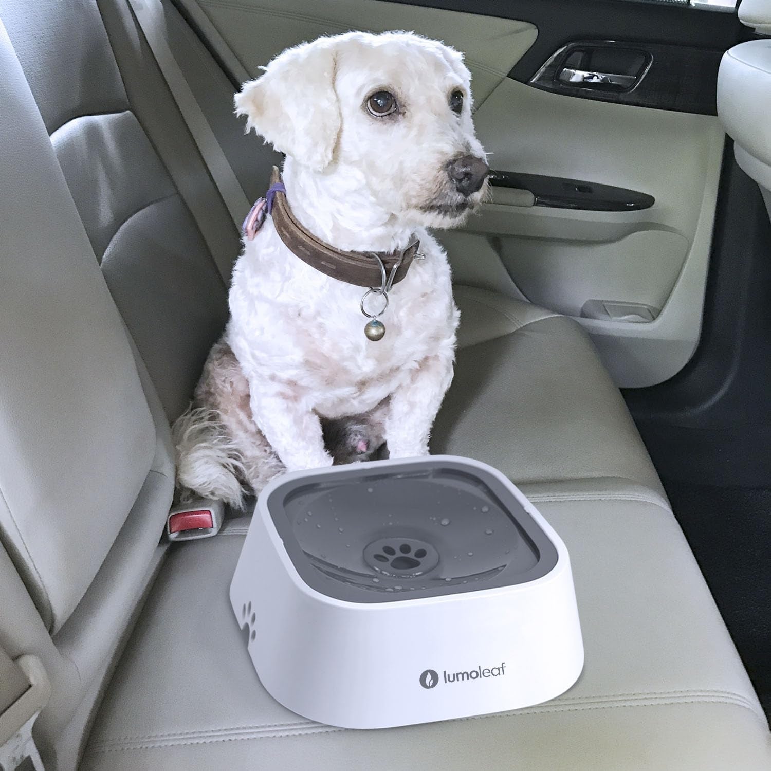 Mess-Free No Spill Water Bowl for Dogs - Slow Feeder, Drip-Free & Splash-Proof Design (Grey, 35Oz)