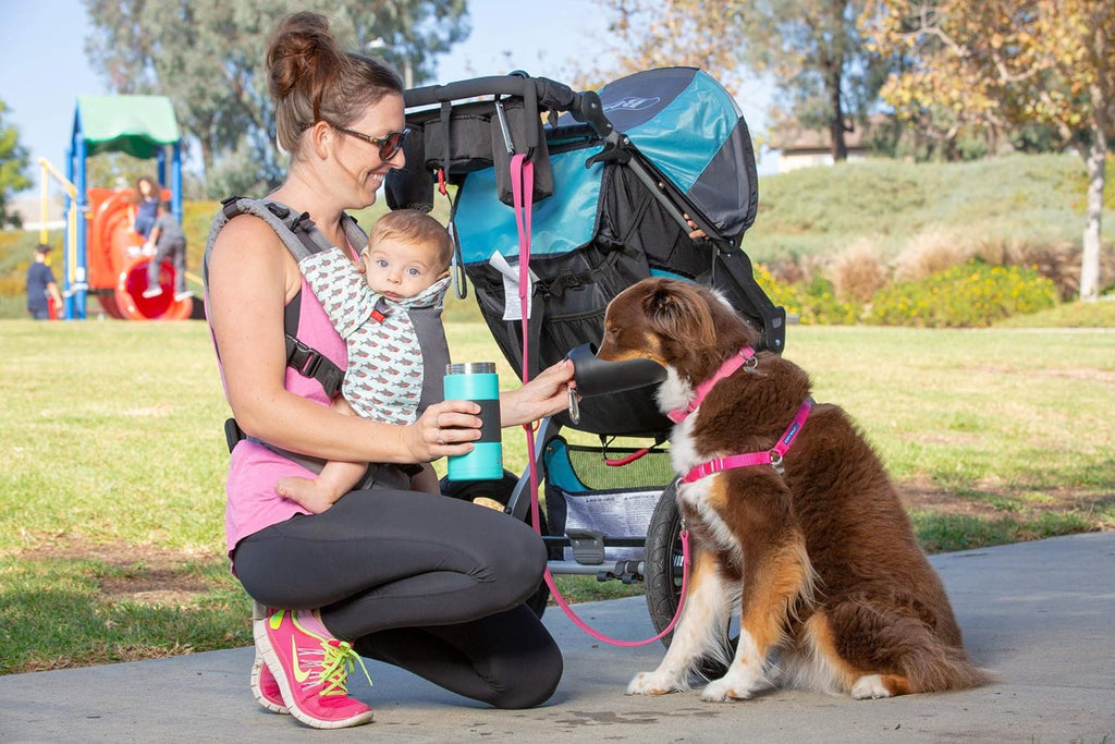 Large 22Oz Insulated Portable Dog Water Bottle & Dispenser - Keep Water Cool for Your Adventures!