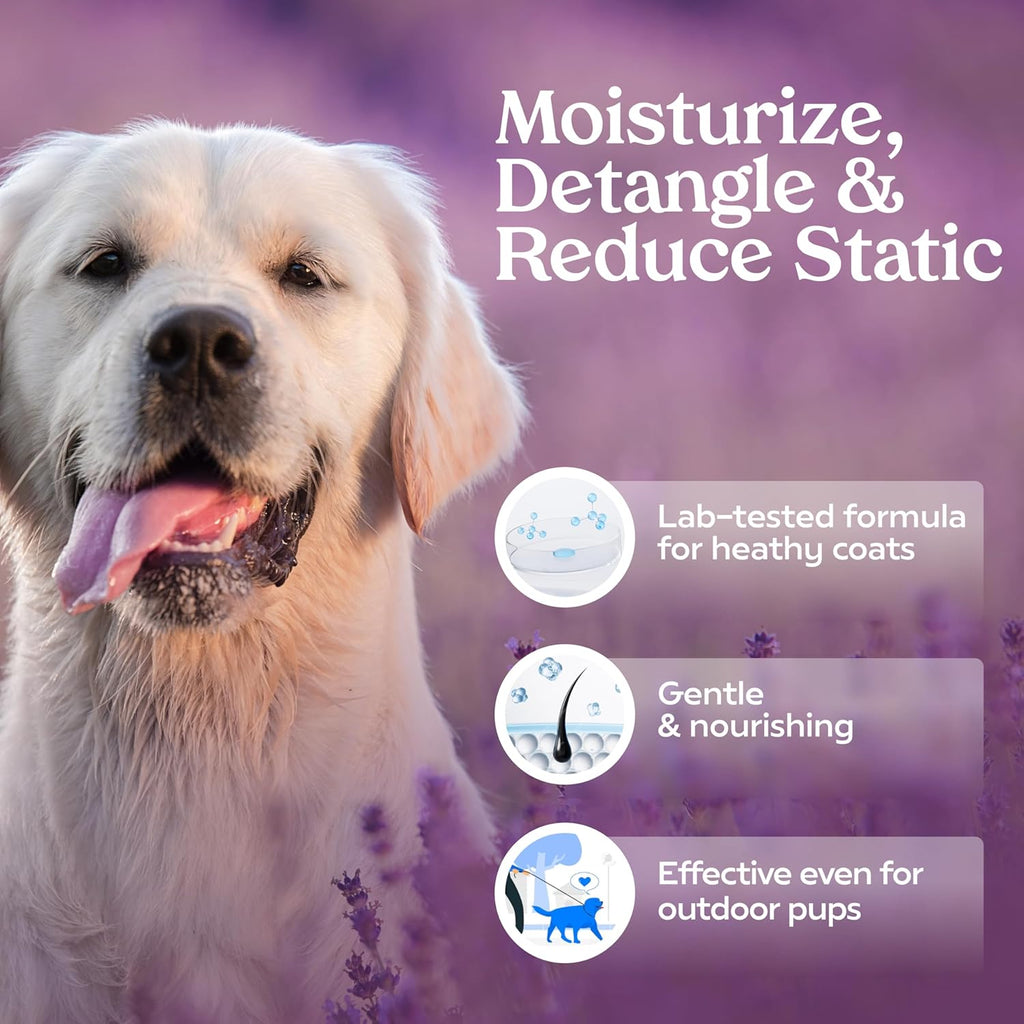PAWFUME Royal Lavender Dog Detangler Spray – Hypoallergenic & Moisturizing for Luxurious Salon-Quality Grooming, 1-Pack