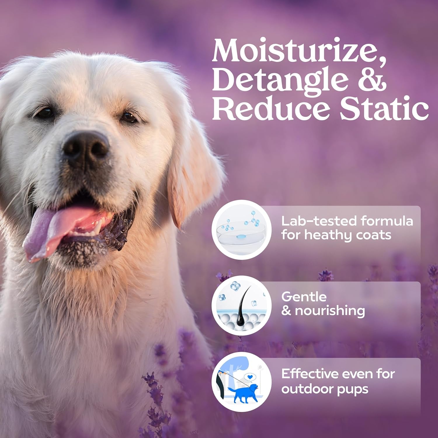 PAWFUME Royal Lavender Dog Detangler Spray – Hypoallergenic & Moisturizing for Luxurious Salon-Quality Grooming, 1-Pack