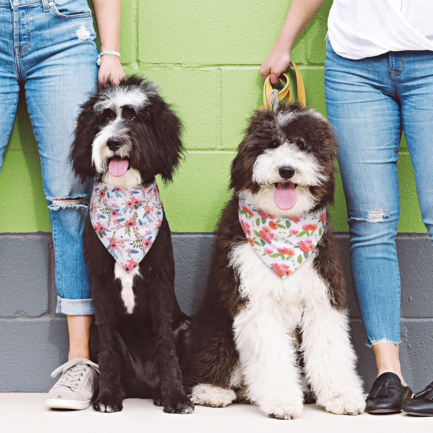 Stylish 2-Pack Dog Bandanas - Adjustable Floral Scarves for Medium & Small Dogs - Personalized Triangle Bibs for Your Furry Friend