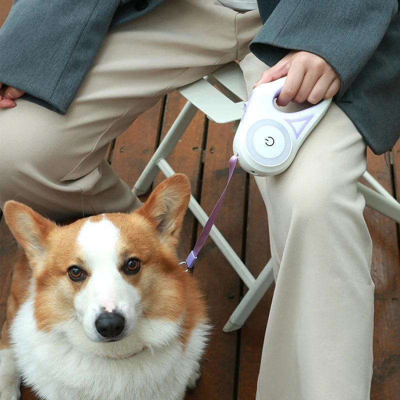 Durable 3M & 5M Retractable Dog Leash - Automatic Pet Lead for Large Dogs & Cats, Perfect for Walks and Runs