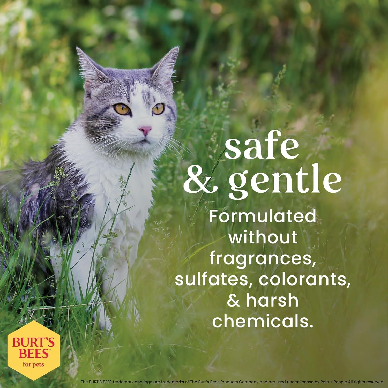 Gentle Cat Dander Remover Wipes - Soothing Oat Flour & Aloe Grooming Cloths for Cats & Kittens, 50 Count, Unscented