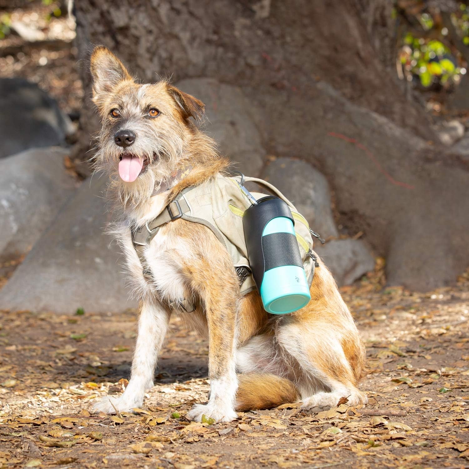 Large 22Oz Insulated Portable Dog Water Bottle & Dispenser - Keep Water Cool for Your Adventures!