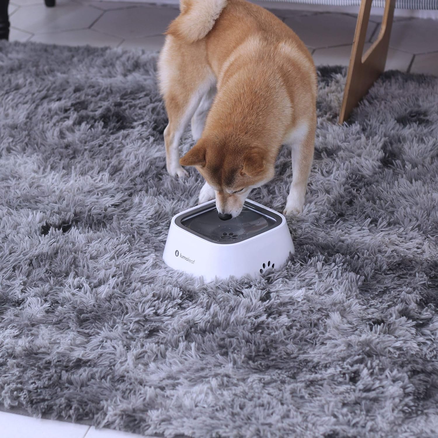 Mess-Free No Spill Water Bowl for Dogs - Slow Feeder, Drip-Free & Splash-Proof Design (Grey, 35Oz)